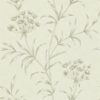 Agapanthus ZPAW04002